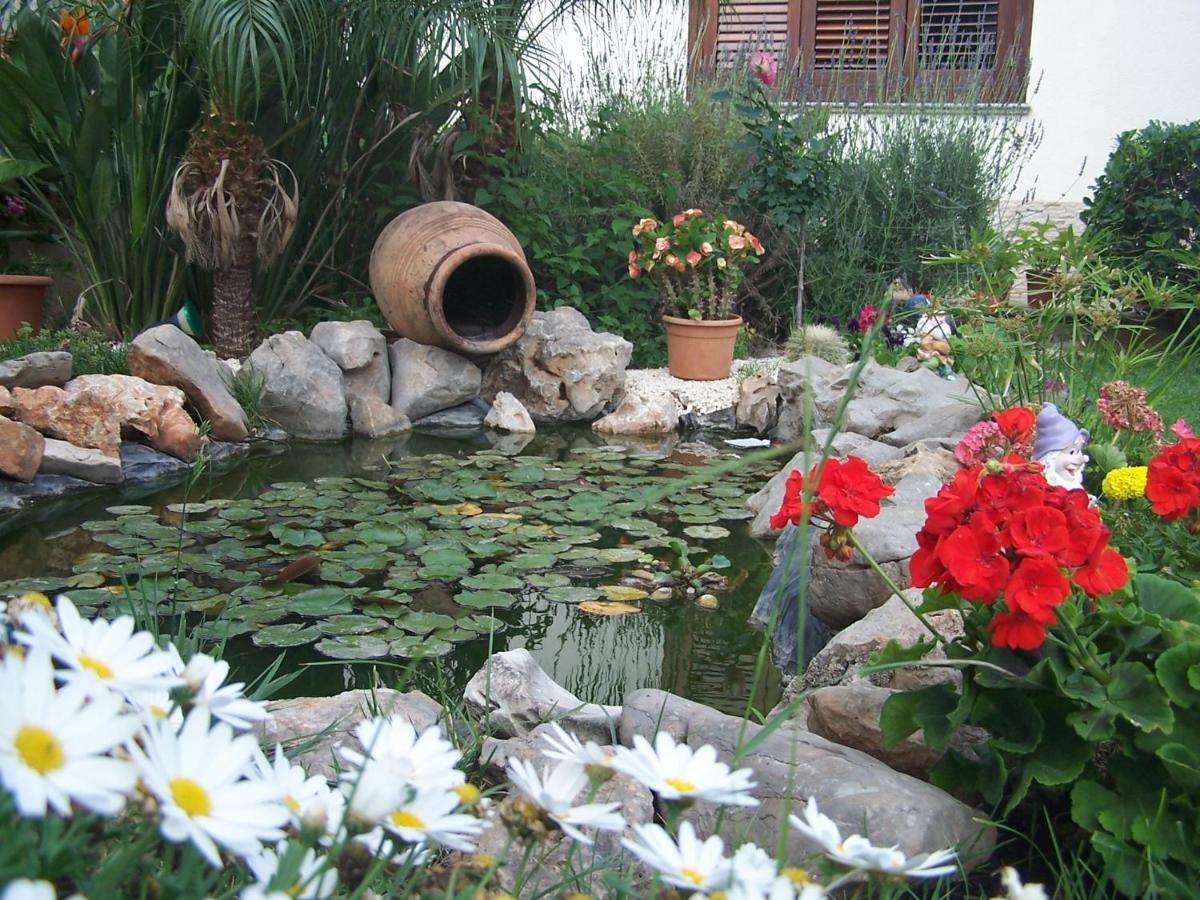Mariposa B&B San Vito Lo Capo Exterior photo